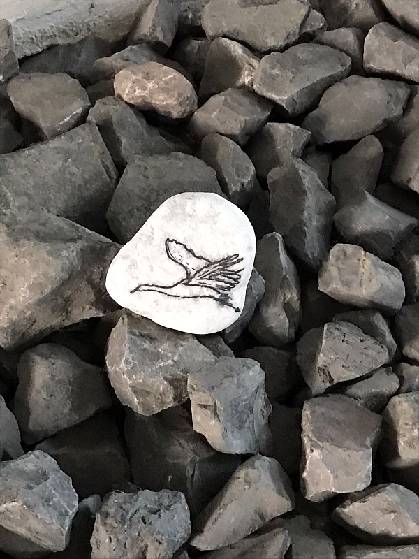 4ae31c80 8243 451a a82a 32e686845670